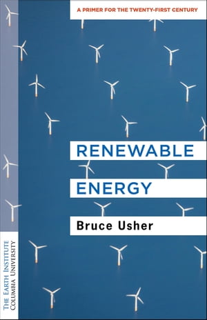 Renewable Energy A Primer for the Twenty-First Century