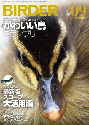 BIRDER2017年9月号