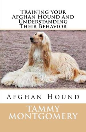 Training your Afghan Hound and Understanding Their Behavior