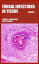 Fungal Infections in Tissue Volume 1