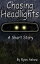 headlightsβ