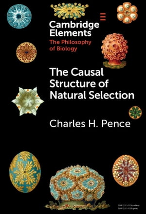 The Causal Structure of Natural Selection