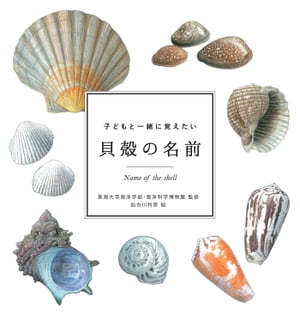 子どもと一緒に覚えたい　貝殻の名前【電子書籍】[ 東海大学海洋学部・海洋科学博物館 ]