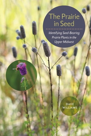 The Prairie in Seed Identifying Seed-Bearing Prairie Plants in the Upper Midwest【電子書籍】[ Dave Williams ]