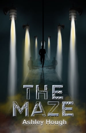 The Maze