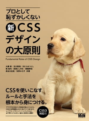 プロとして恥ずかしくない　新・CSSデザインの大原則【電子書籍】[ 大藤 幹 ]