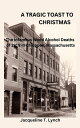 A Tragic Toast to Christmas -The Infamous Wood Alcohol Deaths of 1919 in Chicope...