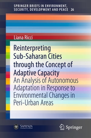 Reinterpreting Sub-Saharan Cities through the Concept of Adaptive Capacity