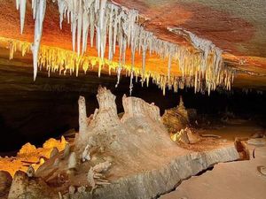 ＜p＞Discover the Hidden Depths: Spelunking Underground Alabama＜/p＞ ＜p＞Do you crave adventure, the thrill of exploring the unknown, and the excitement of uncovering hidden treasures? Spelunking: Underground Alabama is your ultimate guide to the breathtaking, mysterious, and adrenaline-pumping world of cave exploration right in the heart of Alabama.＜/p＞ ＜p＞Pain: Are you tired of the same old outdoor activities that lack excitement and challenge?＜/p＞ ＜p＞Agitation: Imagine feeling the rush of venturing into uncharted territories, navigating through dark passages, and discovering stunning underground landscapes that most people will never see. Yet, without the right knowledge, equipment, and guidance, spelunking can be dangerous and overwhelming.＜/p＞ ＜p＞Solution: Spelunking: Underground Alabama is your comprehensive ebook that equips you with everything you need to embark on a safe and exhilarating underground adventure. This book offers step-by-step guidance, expert tips, and detailed maps to ensure you get the most out of your spelunking experience.＜/p＞ ＜p＞What You Will Gain:＜/p＞ ＜p＞Expert Guidance: Learn from seasoned spelunkers who share their secrets on navigating Alabama's most intriguing caves.＜/p＞ ＜p＞Safety Tips: Understand the essential safety protocols to keep you and your fellow explorers secure.＜/p＞ ＜p＞Equipment Advice: Get recommendations on the best gear for your spelunking needs.＜/p＞ ＜p＞Fascinating Histories: Discover the rich history and geological wonders hidden beneath Alabama's surface.＜/p＞ ＜p＞Benefits of This Ebook:＜/p＞ ＜p＞Unleash Your Inner Explorer: Transform your weekends with exciting and unforgettable adventures.＜/p＞ ＜p＞Enhanced Knowledge: Gain insights into Alabama's unique geological formations and natural history.＜/p＞ ＜p＞Community Connection: Connect with a community of fellow spelunking enthusiasts and share your experiences.＜/p＞ ＜p＞Memorable Experiences: Create lasting memories with friends and family as you explore stunning underground landscapes.＜/p＞ ＜p＞Are you ready to dive into the hidden wonders of Alabama's underground world? Don't miss out on the adventure of a lifetime!＜/p＞画面が切り替わりますので、しばらくお待ち下さい。 ※ご購入は、楽天kobo商品ページからお願いします。※切り替わらない場合は、こちら をクリックして下さい。 ※このページからは注文できません。