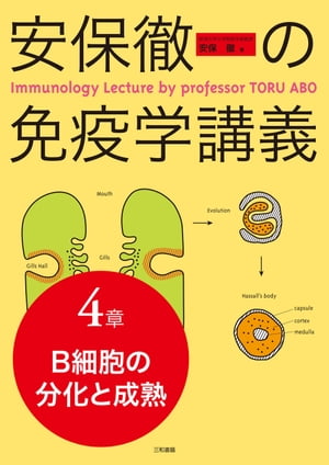 安保徹の免疫学講義 分冊4章　（B細胞の分化と成熟）