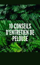 10 CONSEILS D'ENTRETIEN DE PELOUSE