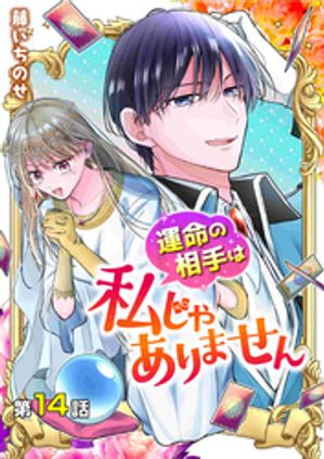 【分冊版】運命の相手は私じゃありません（１４）