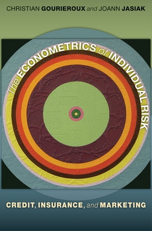 The Econometrics of Individual Risk