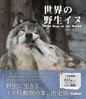 世界の野生イヌ【電子書籍】[ 今泉忠明 ]