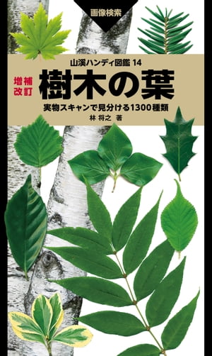 山溪ハンディ図鑑 14 増補改訂 樹木の葉 実物スキャンで見分ける1300種類【電子書籍】[ 林 将之 ]