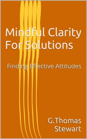 Mindful Clarity For Solutions