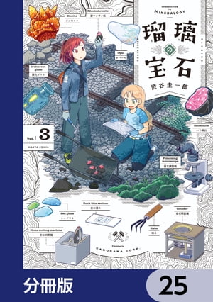 瑠璃の宝石【分冊版】　25【電子書