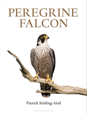 Peregrine Falcon【電子書籍】[ Patrick Stirling-Aird ]