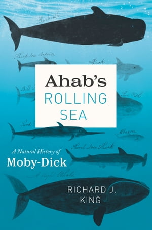 Ahab's Rolling Sea A Natural History of Moby-Dick【電子書籍】[ Richard J. King ]