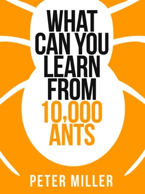 What You Can Learn From 10,000 Ants (Collins Shorts, Book 4)【電子書籍】[ Peter Miller ]
