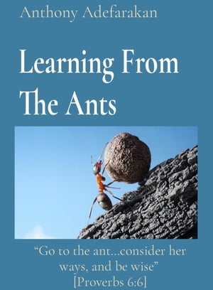 Learning From The Ants: "Go to the ant...consider her ways, and be wise" [Proverbs 6