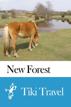 New Forest (England) Travel Guide - Tiki Travel