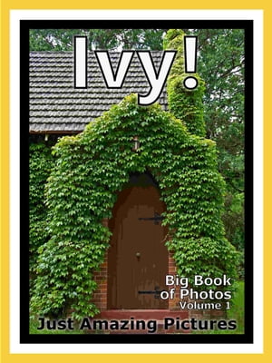 Just Ivy Plant Photos! Big Book of Photographs & Pictures of Ivy Plants, Vol. 1