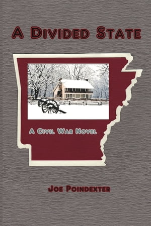 A Divided State: A Civil War Novel