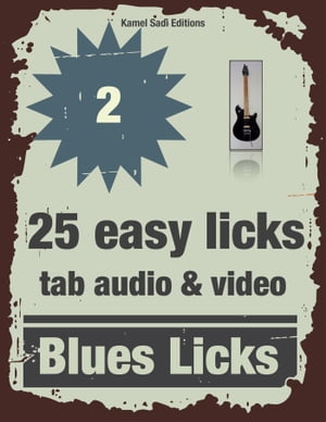 Blues Licks Vol. 2