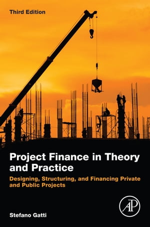 Project Finance in Theory and Practice