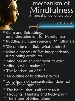 Mechanism of Mindfulness