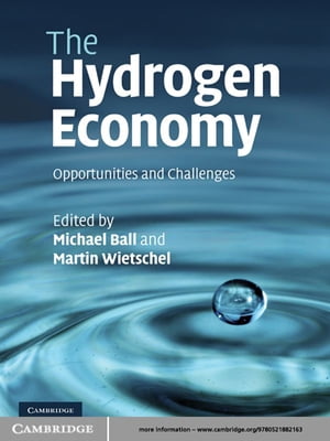 The Hydrogen Economy