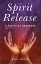 Spirit Release: A Practical Handbook