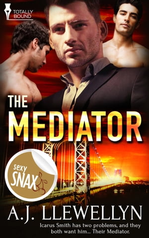 The Mediator