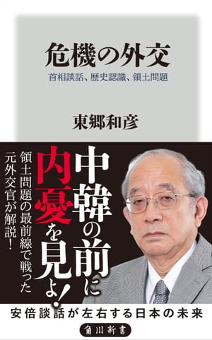 危機の外交　首相談話、歴史認識、領土問題