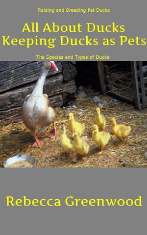 All About Ducks: Keeping Ducks as Pets