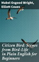 Citizen Bird: Scenes from Bird-Life in Plain Eng