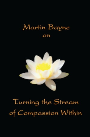 Martin Bayne on Turning the Stream of Compassion Within