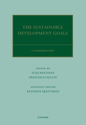 The UN Sustainable Development Goals