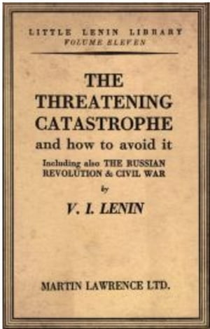 The threatening catastrophe and how to fight it