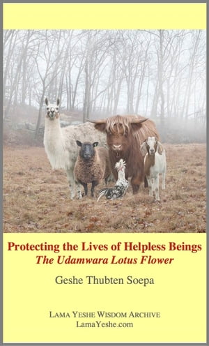 Protecting the Lives of Helpless Beings: The Udamwara Lotus FlowerŻҽҡ[ Geshe Thubten Soepa ]