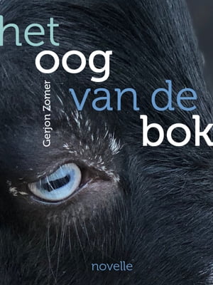 楽天楽天Kobo電子書籍ストアHET OOG VAN DE BOK （novelle） Hoe bouw je een band op als de tijd opraakt?【電子書籍】[ Gerjon Zomer ]