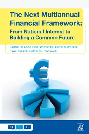 The Next Multiannual Financial Framework