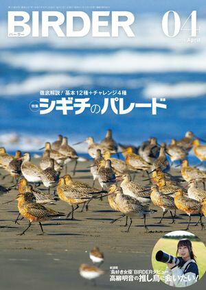 BIRDER2024年4月号【電子書籍】[ BIRDER編集部 ]