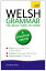 Welsh Grammar You Really Need to Know: Teach Yourself