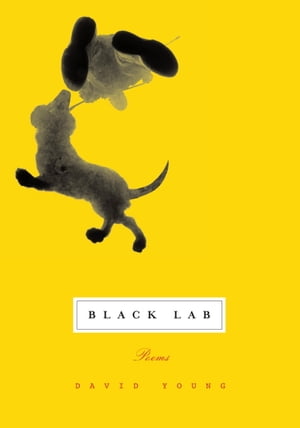 Black Lab【電子書籍】[ David Young ]