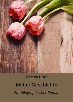 Meine Geschichte Autobiographischer Roman【電