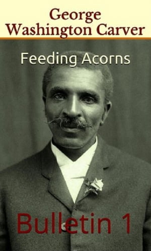 Feeding Acorns