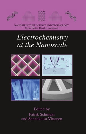 Electrochemistry at the Nanoscale