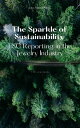 ŷKoboŻҽҥȥ㤨The Sparkle of Sustainability - ESG Reporting in the Jewelry IndustryŻҽҡ[ John MaxWealth ]פβǤʤ399ߤˤʤޤ